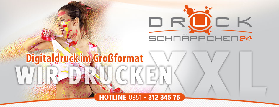 druckschnäppchen24 logo
